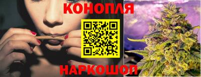 гидропоника Чапаевск