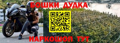 гидропоника Чапаевск
